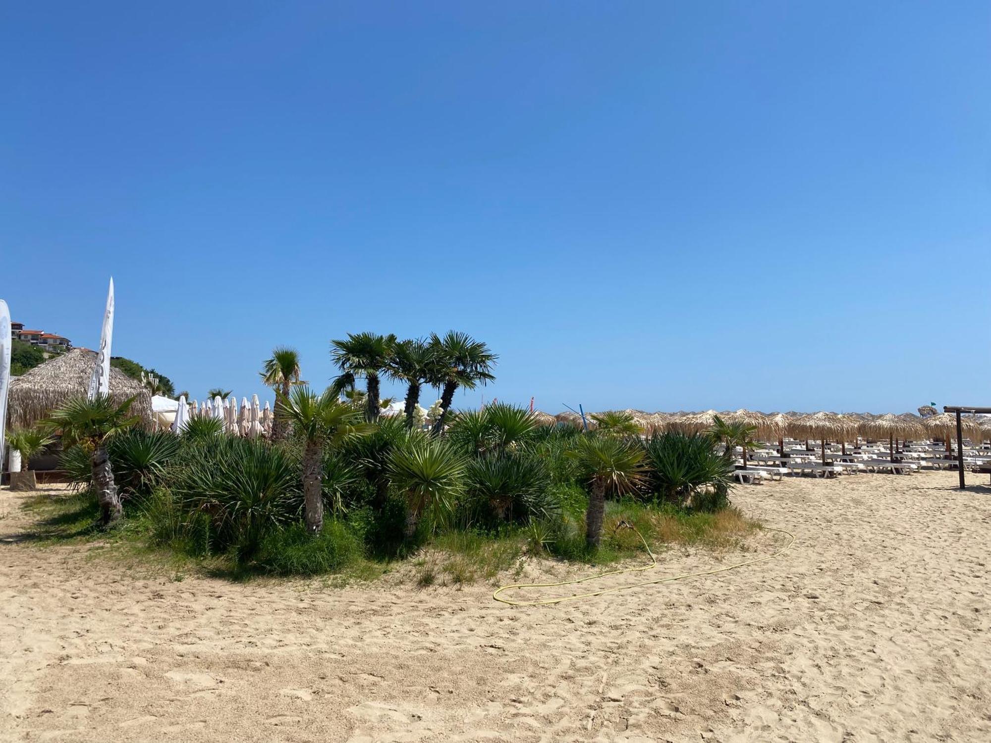 Horizon 10 'В' Apartment Sveti Vlas Luaran gambar